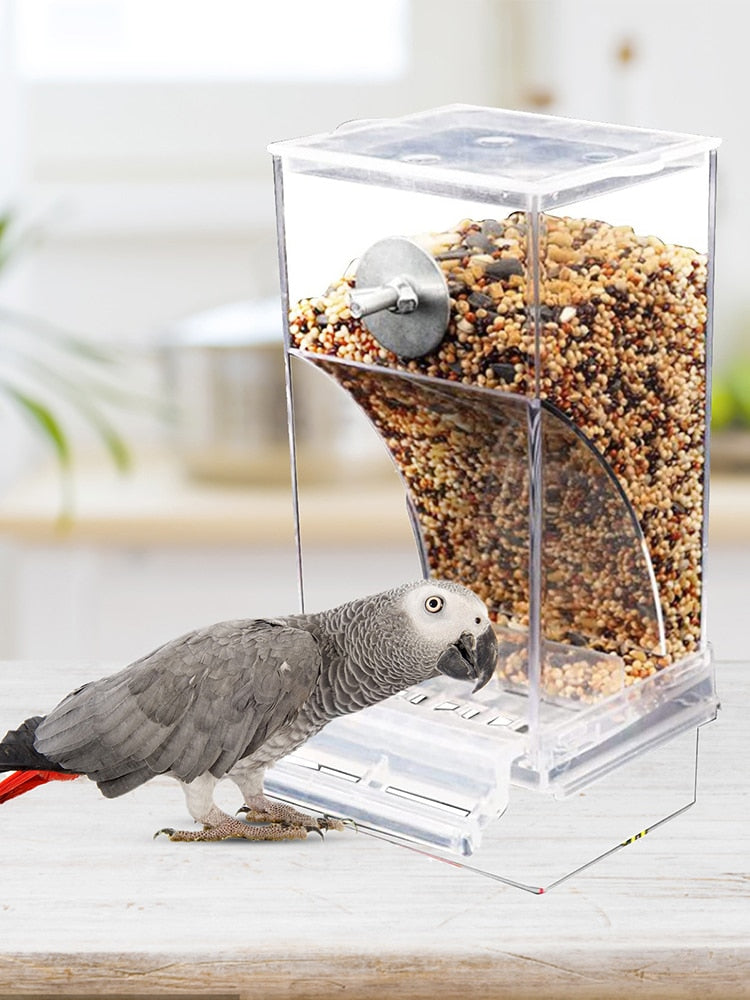 Comederos automáticos para pájaros, accesorios para periquitos. - Mascotalux
