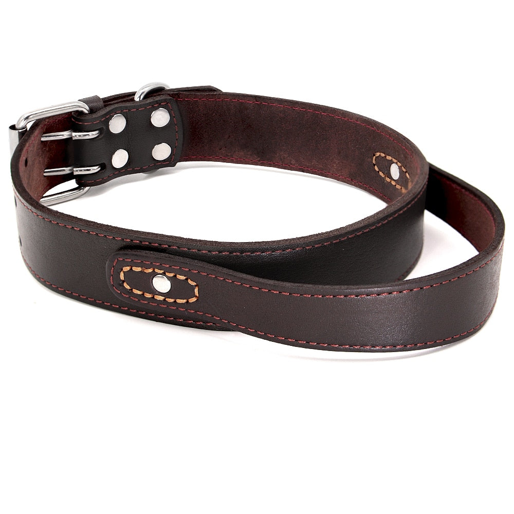 Collarín de entrenamiento duradero de cuero real para perros medianos y grandes. - Mascotalux