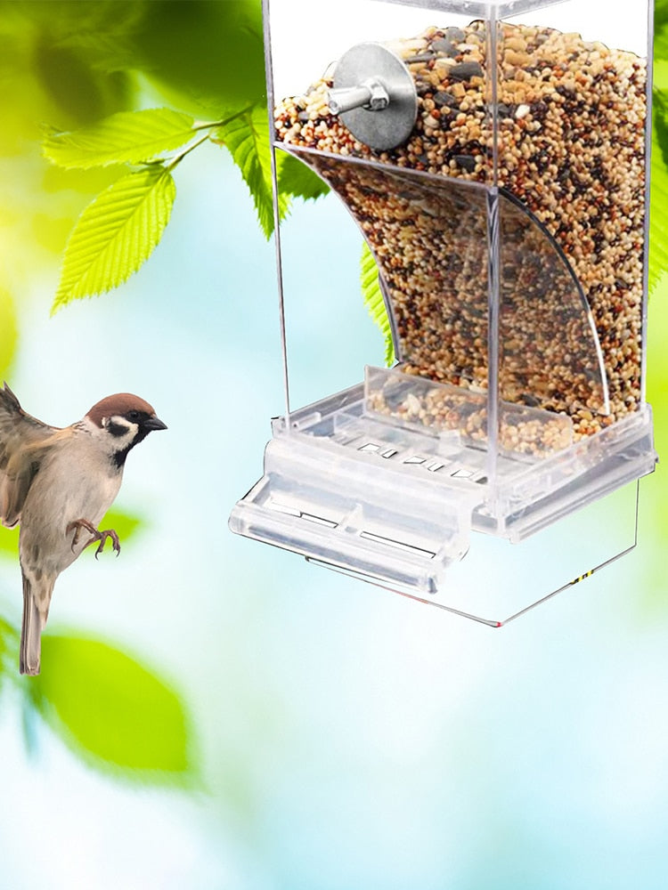 Comederos automáticos para pájaros, accesorios para periquitos. - Mascotalux