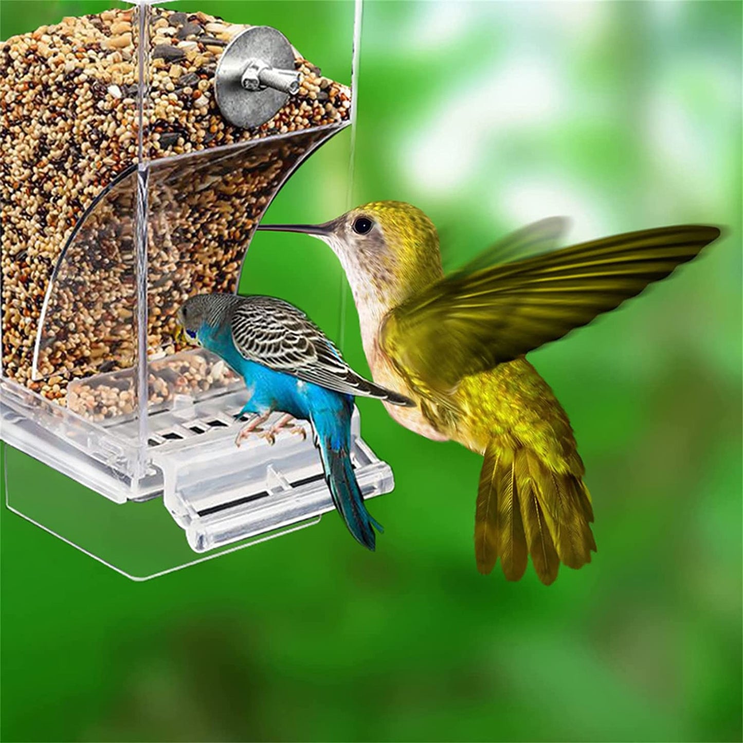Comederos automáticos para pájaros, accesorios para periquitos. - Mascotalux