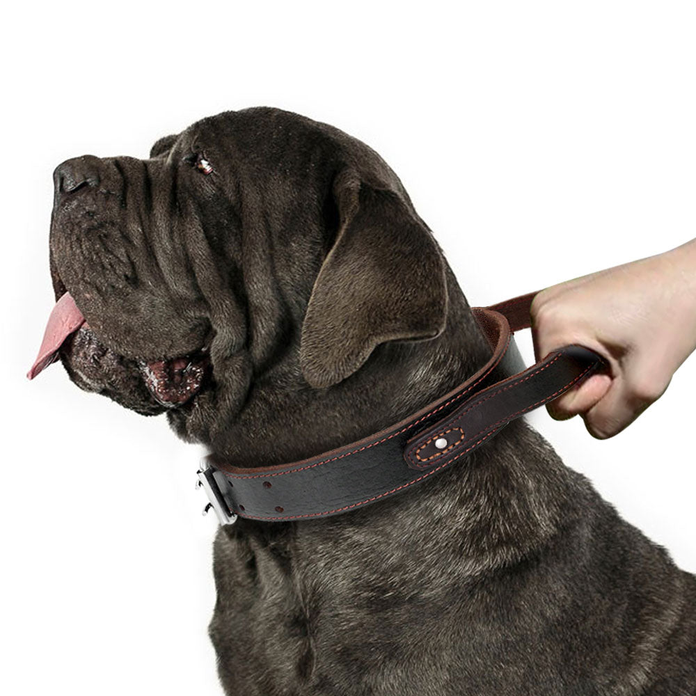 Collarín de entrenamiento duradero de cuero real para perros medianos y grandes. - Mascotalux