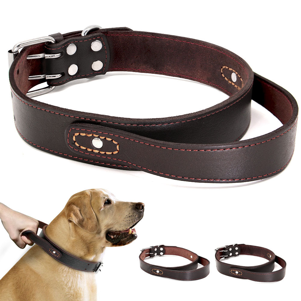 Collarín de entrenamiento duradero de cuero real para perros medianos y grandes. - Mascotalux