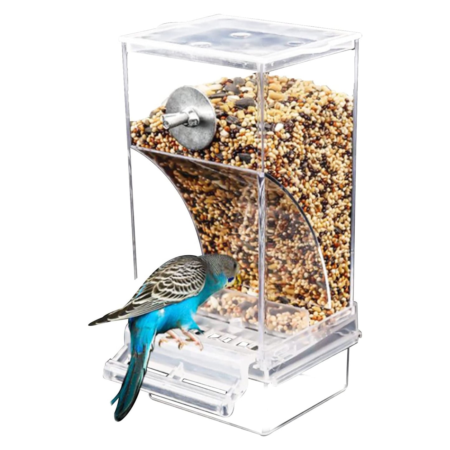 Comederos automáticos para pájaros, accesorios para periquitos. - Mascotalux