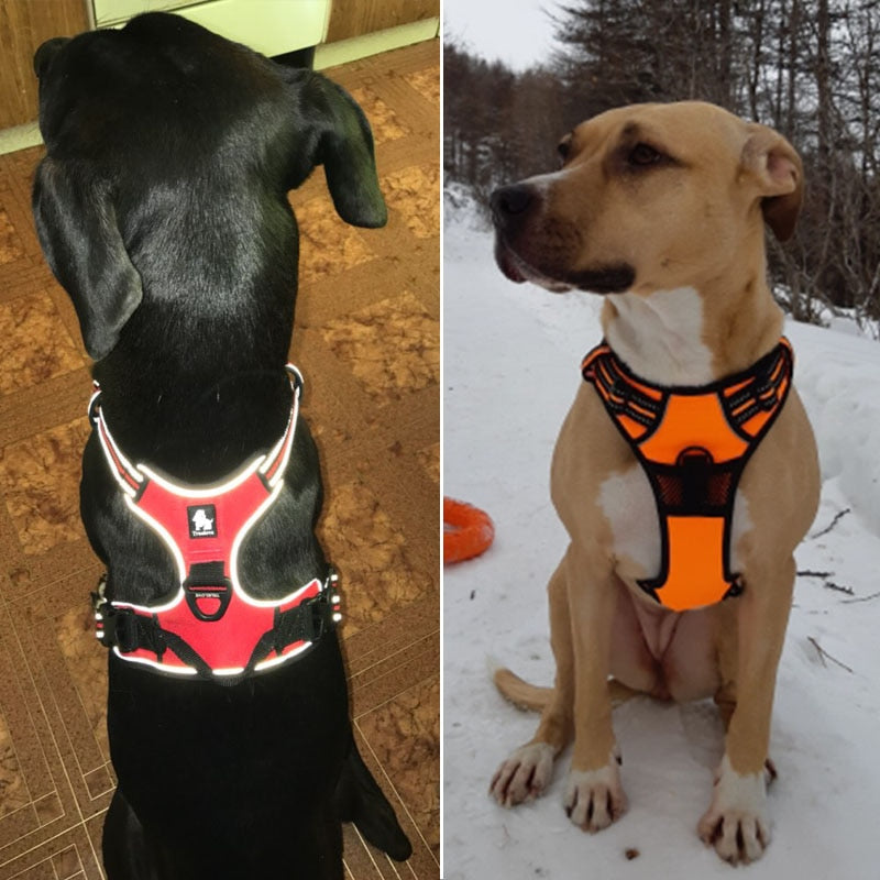 Arnés reflectante y duradero para perros. - Mascotalux