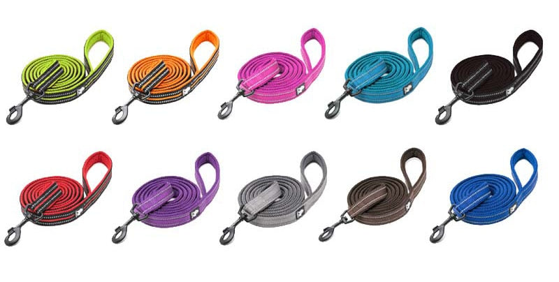 Correa de nailon para perros. Correa para correr. - Mascotalux