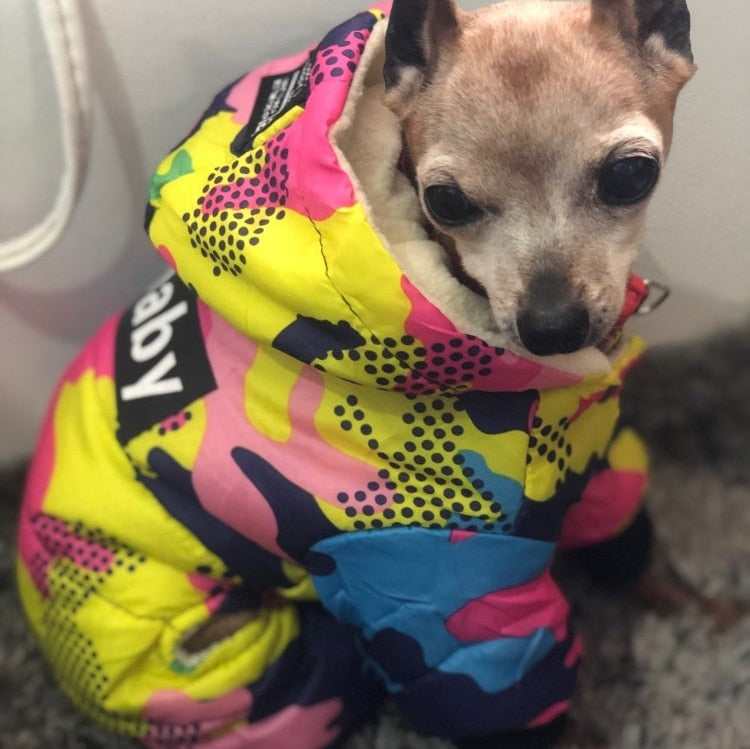 Ropa de invierno para perros, abrigo cálido a prueba de viento, mono, sudaderas con capucha, chaqueta. - Mascotalux