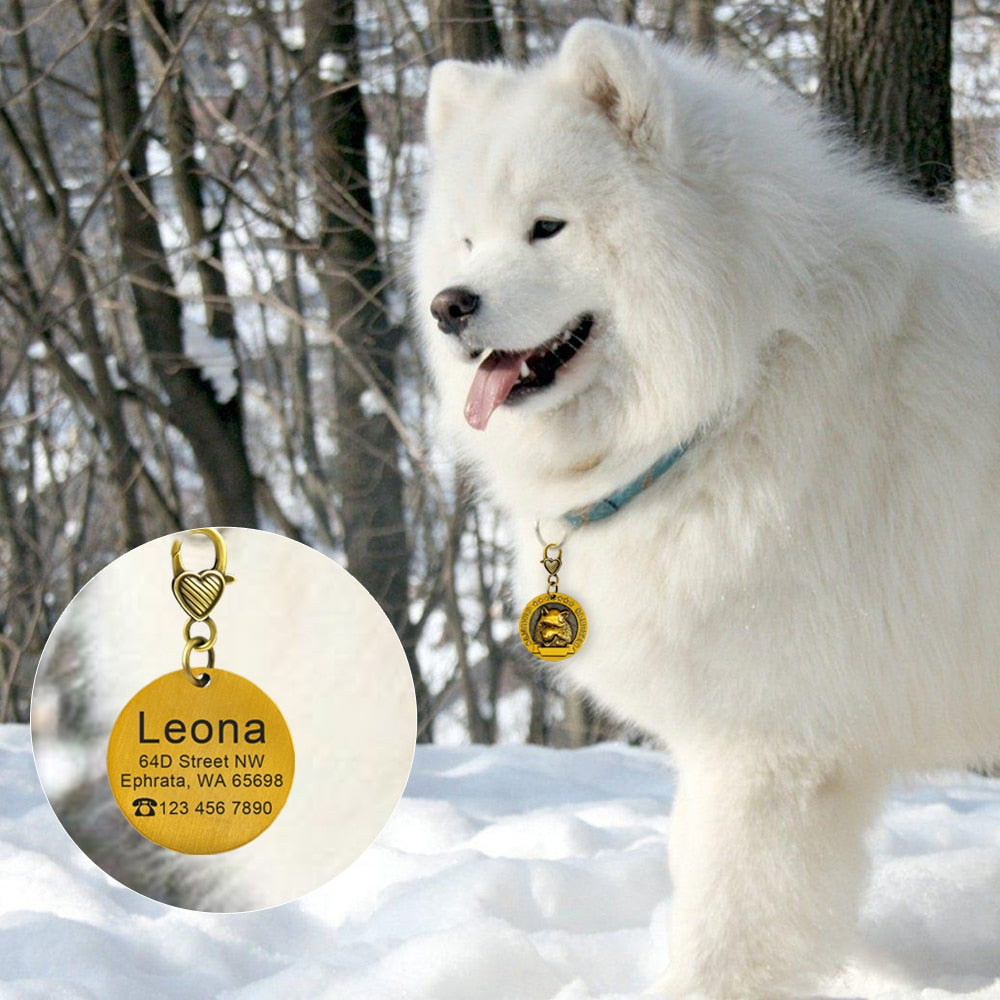 Placa de identificación personalizada de acero inoxidable con secreto para salvar vidas - Mascotalux