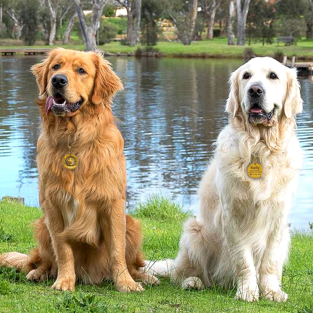 Placa de identificación personalizada de acero inoxidable con secreto para salvar vidas - Mascotalux