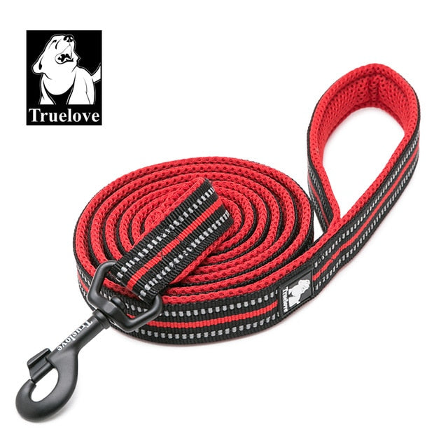 Correa de nailon para perros. Correa para correr. - Mascotalux