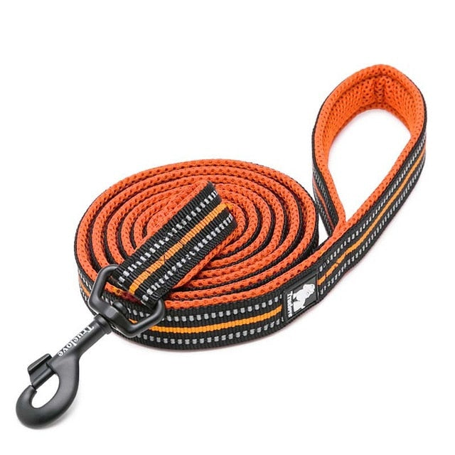 Correa de nailon para perros. Correa para correr. - Mascotalux