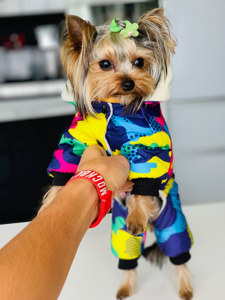 Ropa de invierno para perros, abrigo cálido a prueba de viento, mono, sudaderas con capucha, chaqueta. - Mascotalux