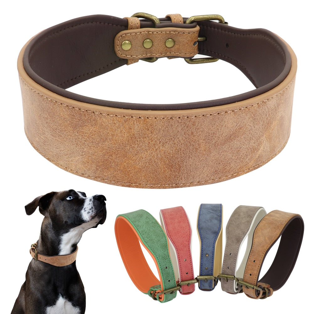 Collar Ancho de Cuero para Perros Grandes: Comodidad y Estilo para su Pitbull, Pastor Alemán o Bulldog XL - Mascotalux