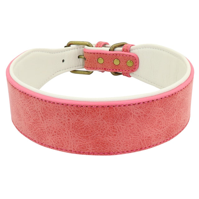 Collar Ancho de Cuero para Perros Grandes: Comodidad y Estilo para su Pitbull, Pastor Alemán o Bulldog XL - Mascotalux