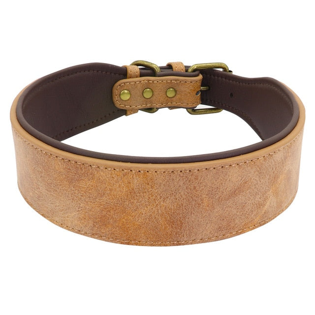 Collar Ancho de Cuero para Perros Grandes: Comodidad y Estilo para su Pitbull, Pastor Alemán o Bulldog XL - Mascotalux