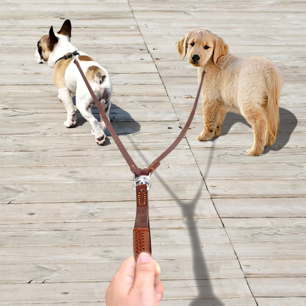 Correa de cuero para perros medianos y pequeños. Acoplador con asa para caminar y entrenar. - Mascotalux