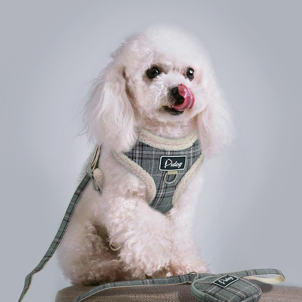 Arnés suave para mascotas para cachorros de chihuahua, Correa y arnés para perros pequeños y medianos. - Mascotalux