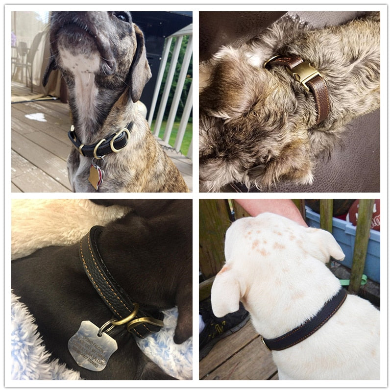 Collar de piel auténtica para perro. Hecho a mano. Fuerte y cómodo. Hebilla de Metal. - Mascotalux