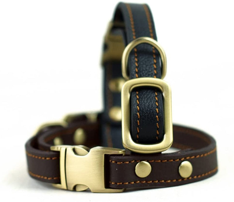 Collar de piel auténtica para perro. Hecho a mano. Fuerte y cómodo. Hebilla de Metal. - Mascotalux