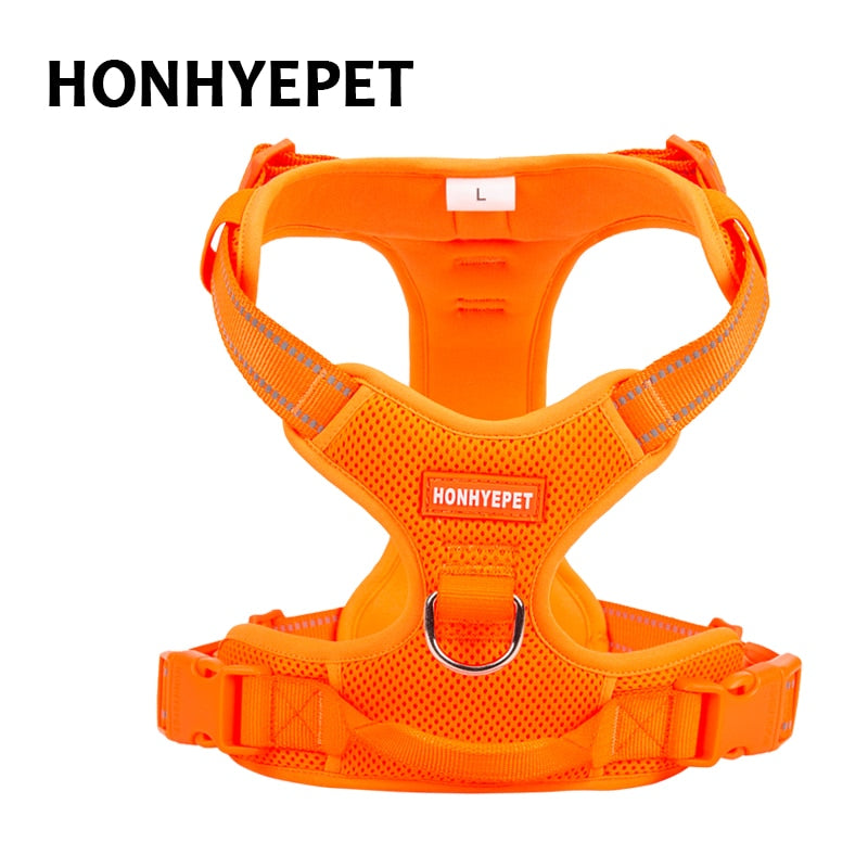 Arnés para mascotas. Diseñado para seguridad al aire libre. - Mascotalux