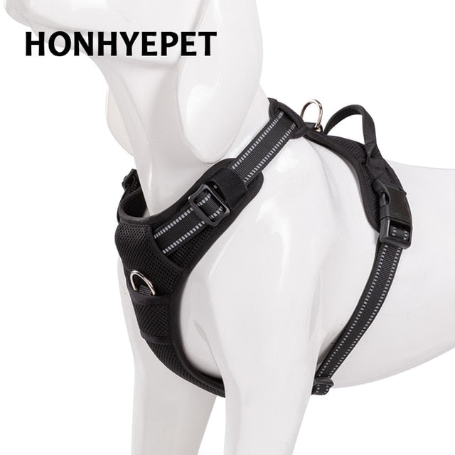 Arnés para mascotas. Diseñado para seguridad al aire libre. - Mascotalux