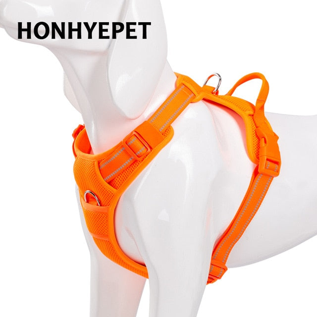 Arnés para mascotas. Diseñado para seguridad al aire libre. - Mascotalux