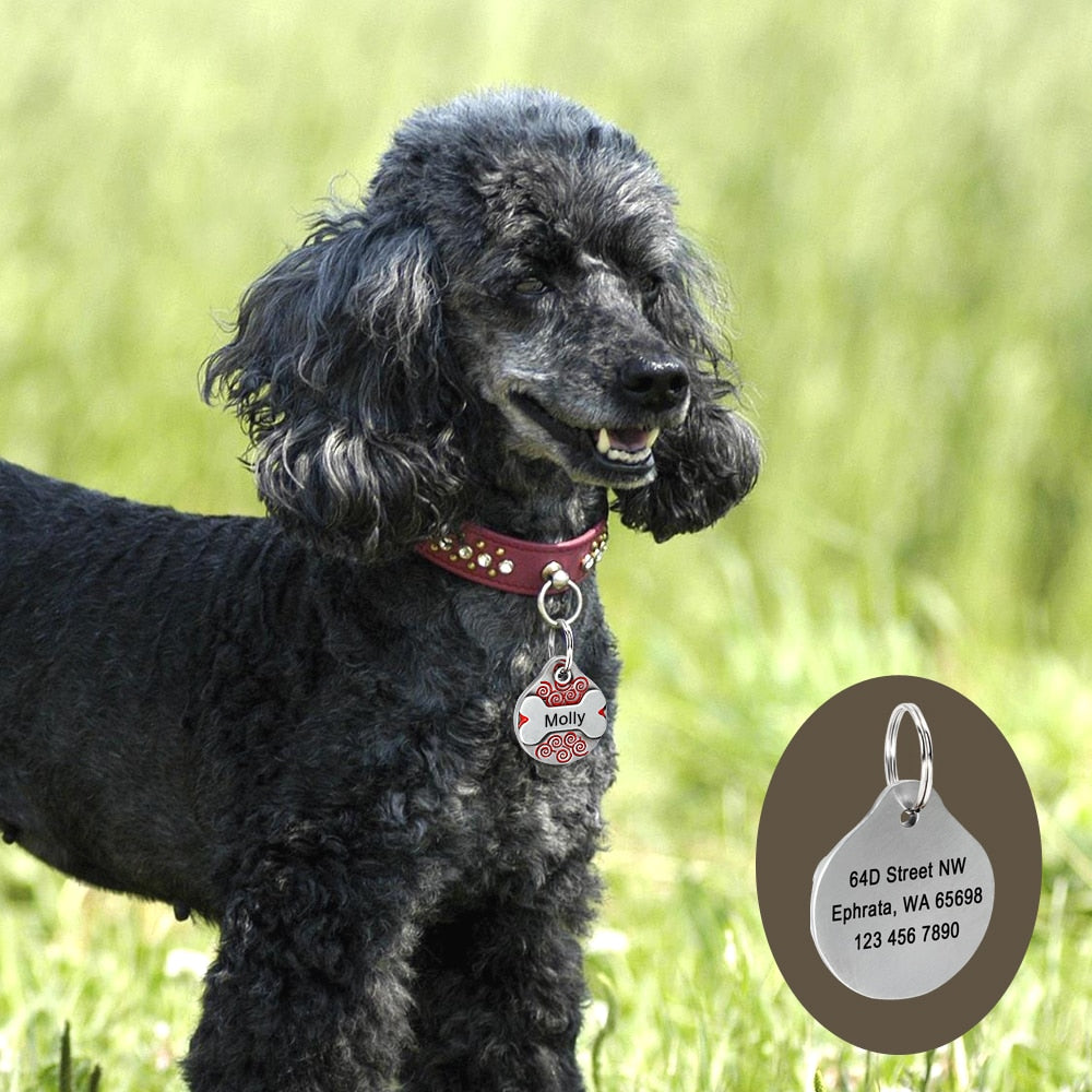 Etiqueta personalizada para perros. Accesorios anti pérdida para mascotas. - Mascotalux