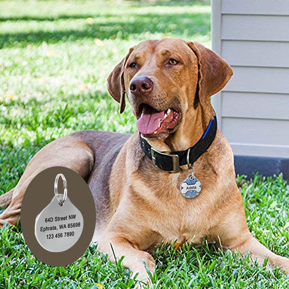 Etiqueta personalizada para perros. Accesorios anti pérdida para mascotas. - Mascotalux