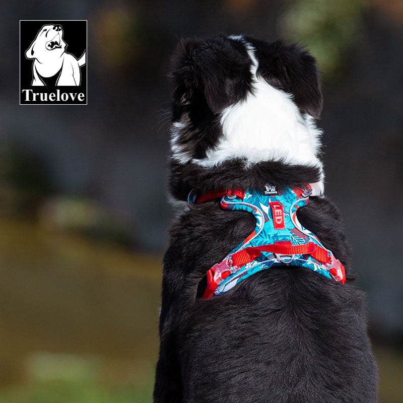 Arnés para perros sin tirón, chaleco, arnés suave reflectante de nylon para mascotas. - Mascotalux