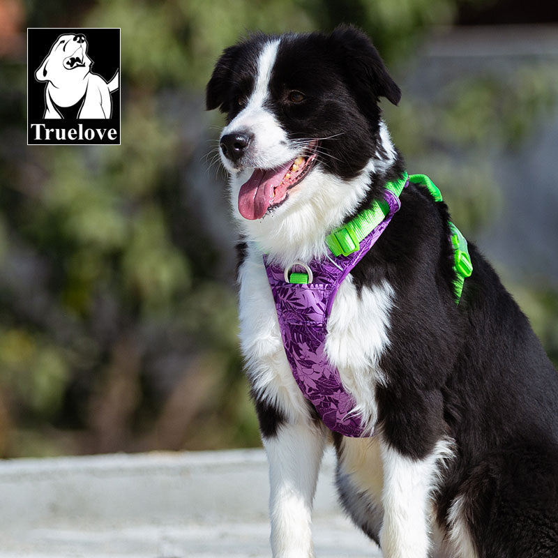 Arnés para perros sin tirón, chaleco, arnés suave reflectante de nylon para mascotas. - Mascotalux