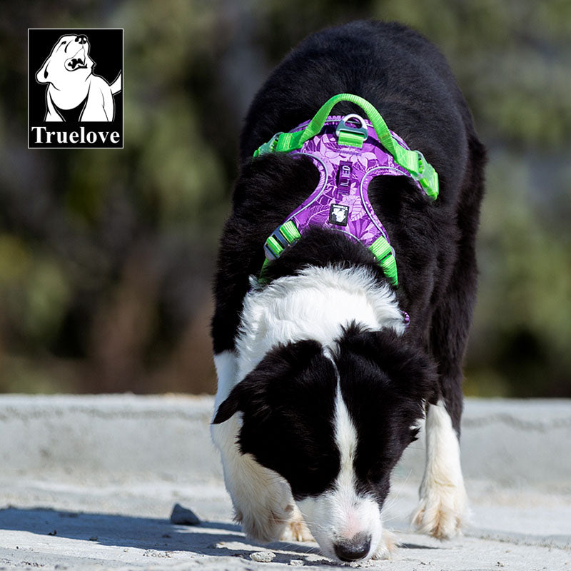 Arnés para perros sin tirón, chaleco, arnés suave reflectante de nylon para mascotas. - Mascotalux