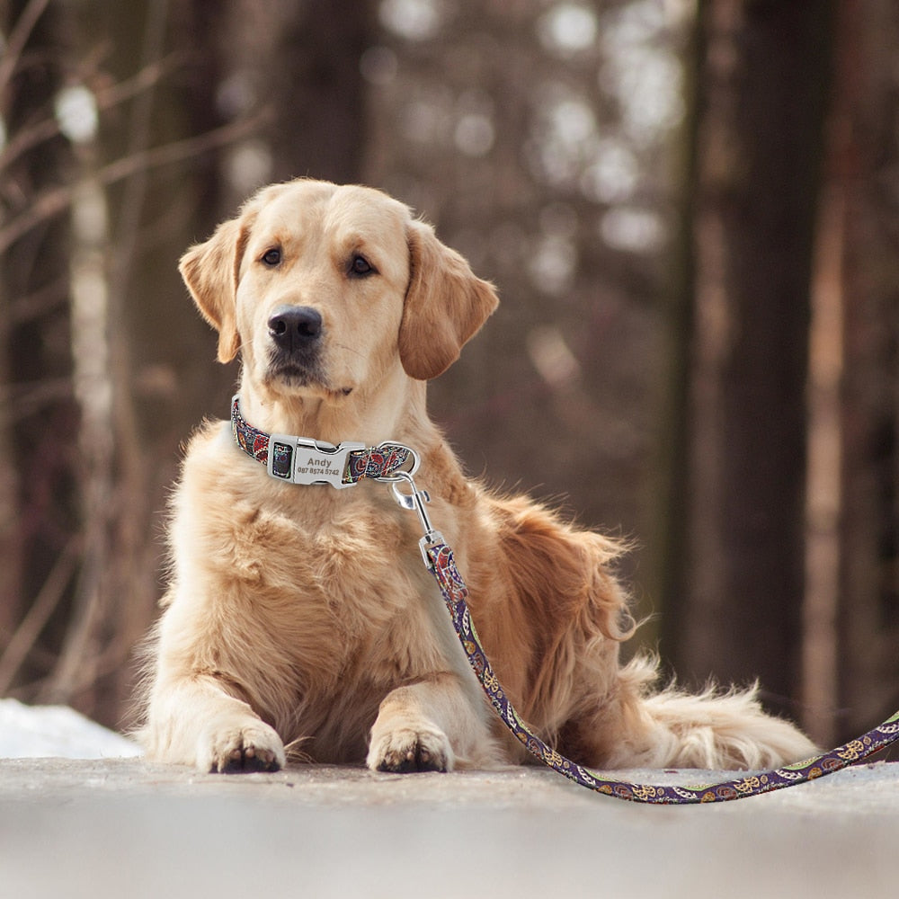 🐾 Collar Personalizado para Perros – Seguridad y Estilo en Uno - Mascotalux