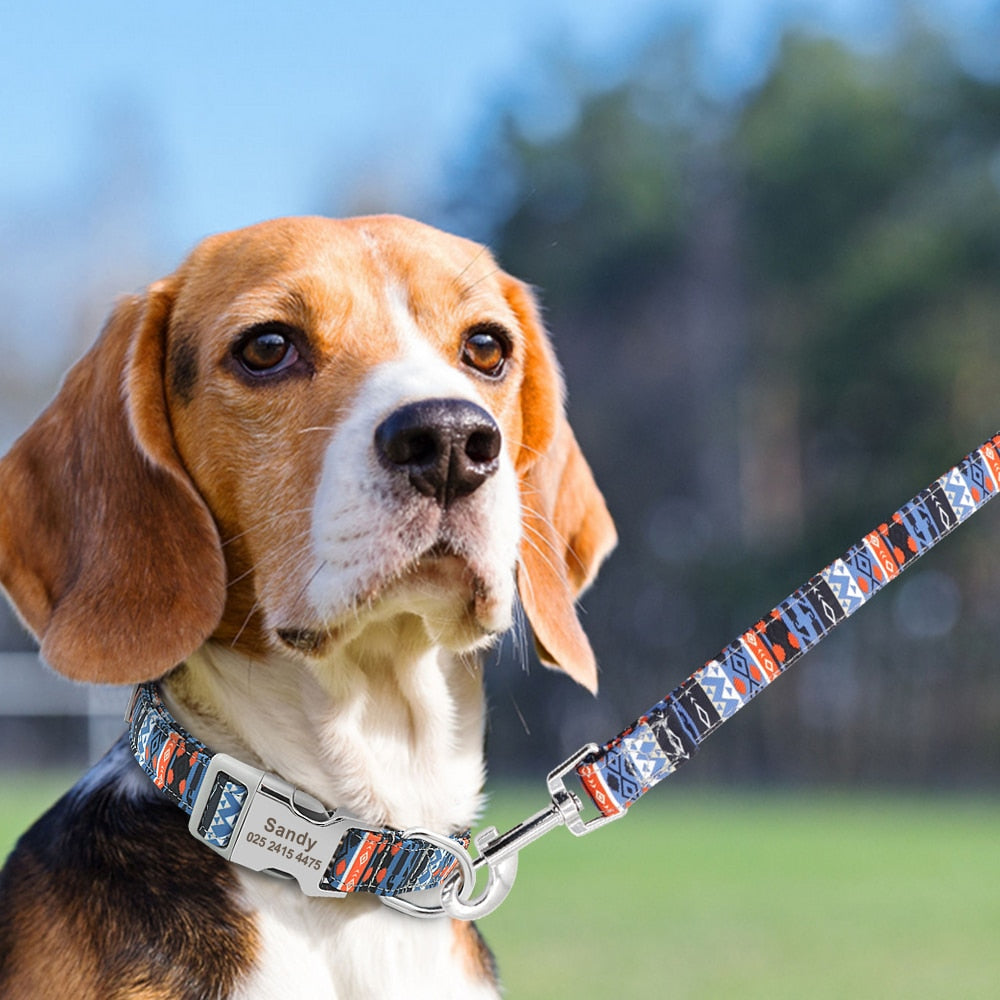 🐾 Collar Personalizado para Perros – Seguridad y Estilo en Uno - Mascotalux