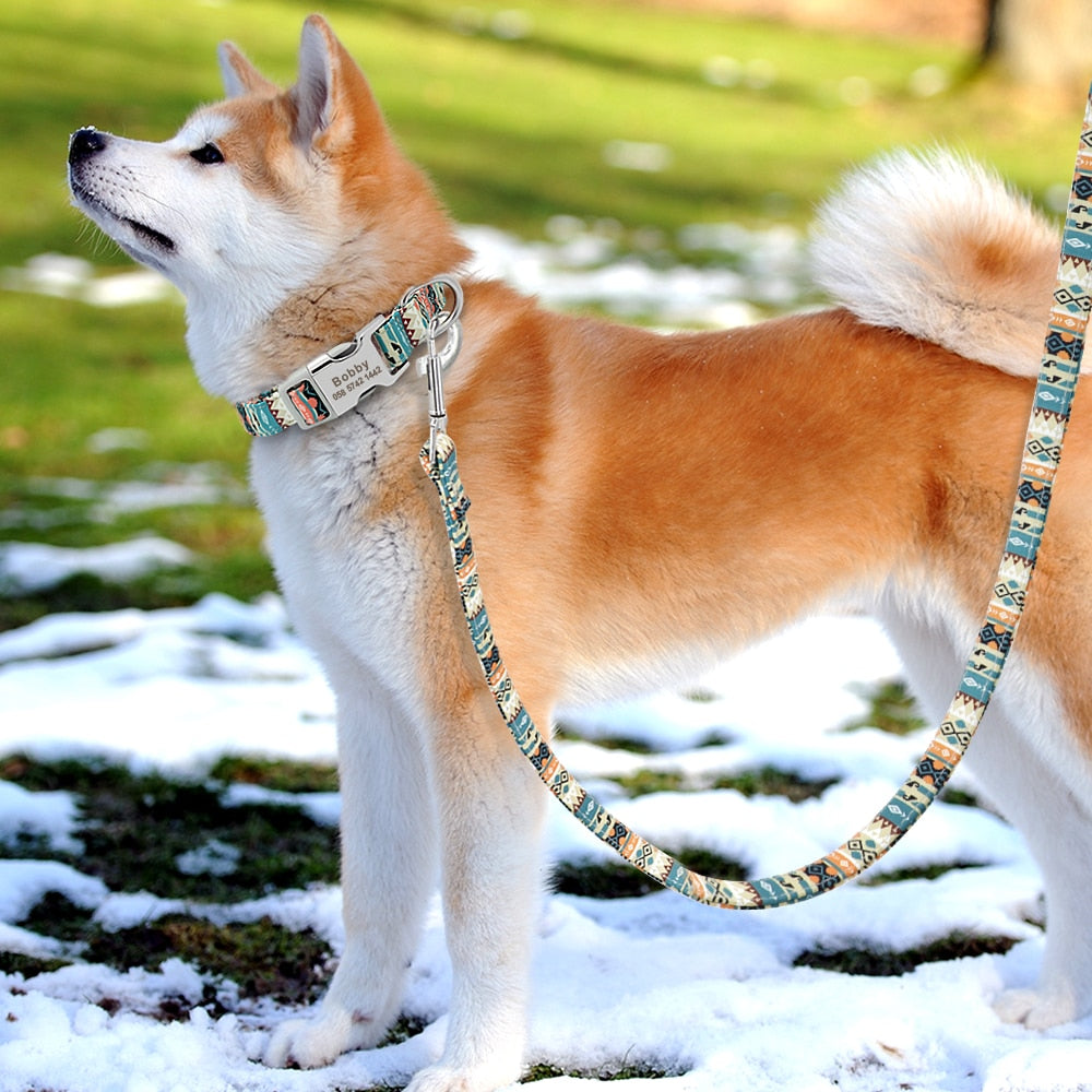 🐾 Collar Personalizado para Perros – Seguridad y Estilo en Uno - Mascotalux