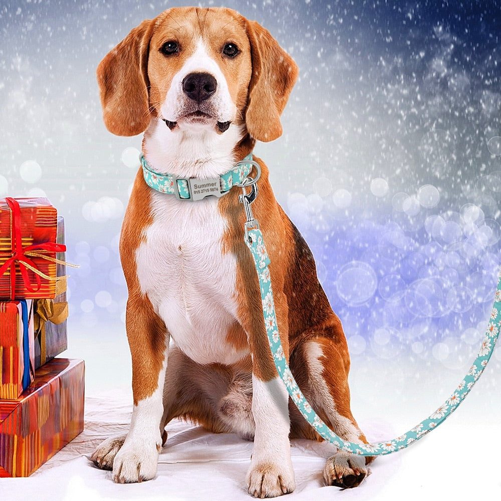 🐾 Collar Personalizado para Perros – Seguridad y Estilo en Uno - Mascotalux