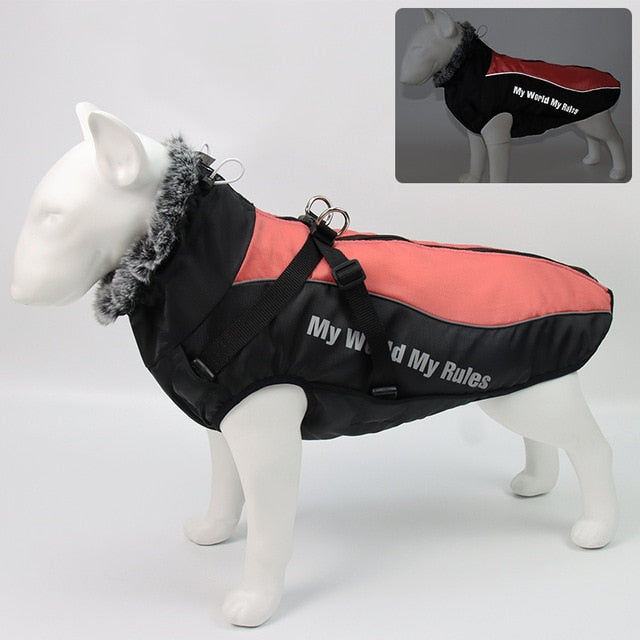 Ropa cálida de invierno para perro Labrador, chaqueta con arnés. - Mascotalux