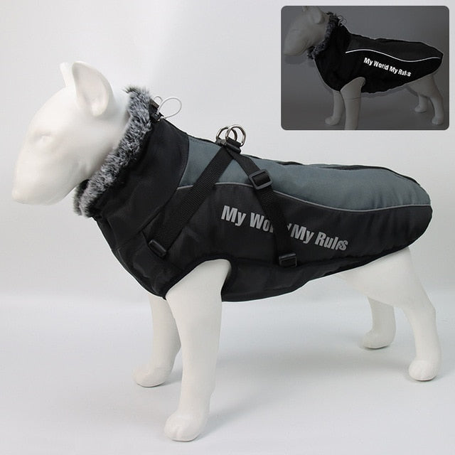 Ropa cálida de invierno para perro Labrador, chaqueta con arnés. - Mascotalux
