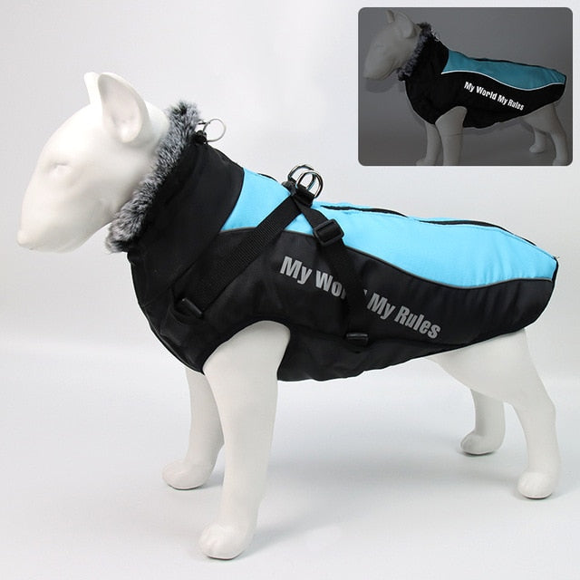 Ropa cálida de invierno para perro Labrador, chaqueta con arnés. - Mascotalux