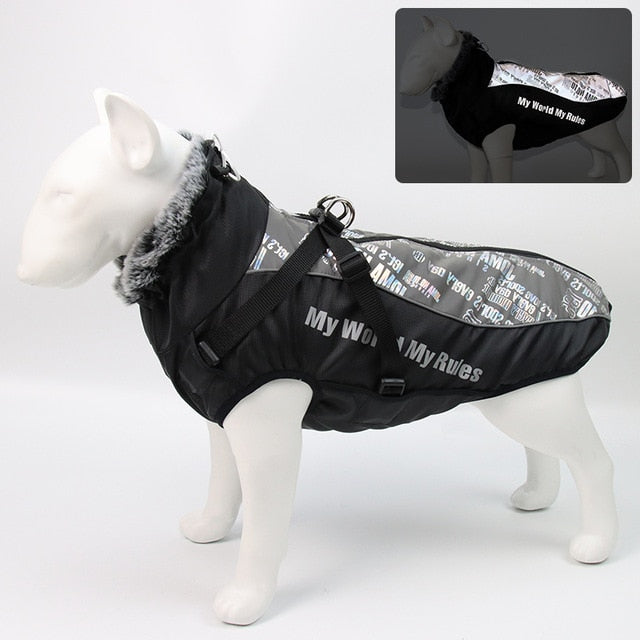 Ropa cálida de invierno para perro Labrador, chaqueta con arnés. - Mascotalux