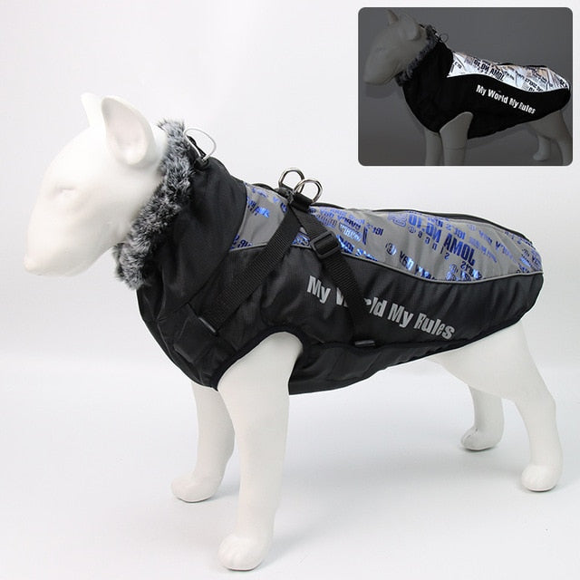 Ropa cálida de invierno para perro Labrador, chaqueta con arnés. - Mascotalux
