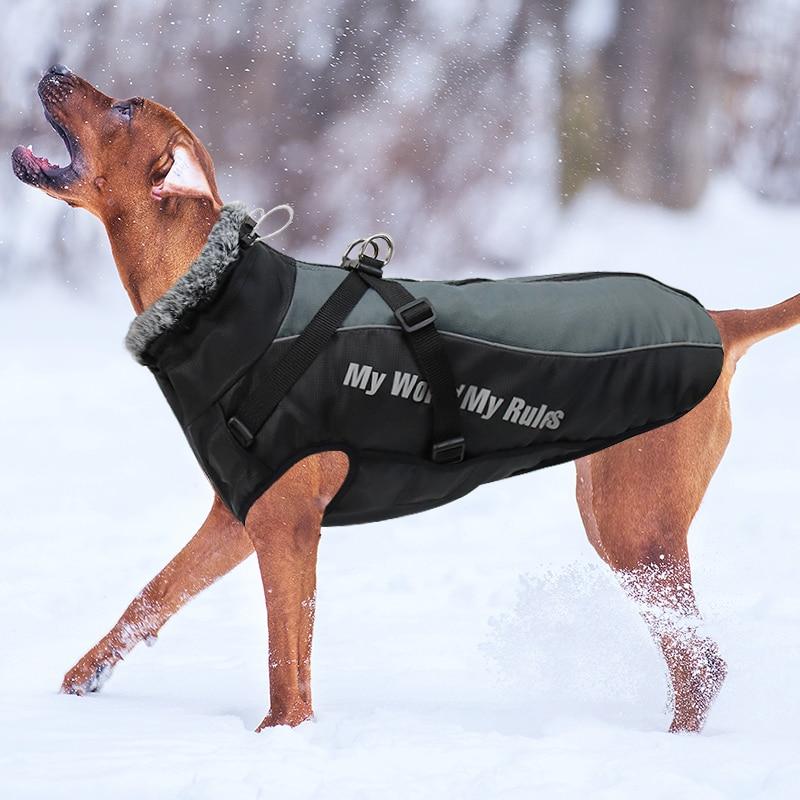 Ropa cálida de invierno para perro Labrador, chaqueta con arnés. - Mascotalux