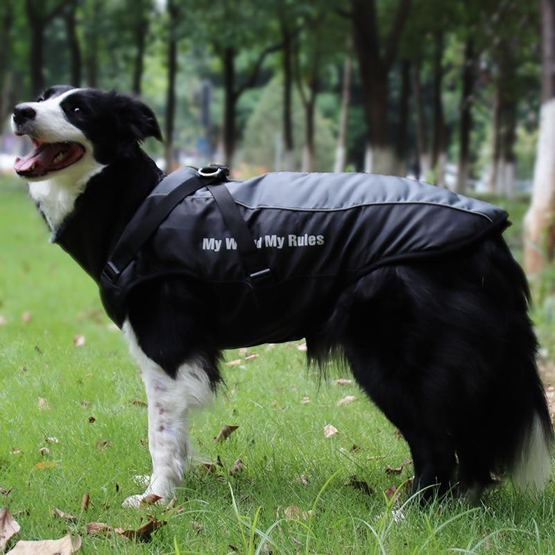 Ropa cálida de invierno para perro Labrador, chaqueta con arnés. - Mascotalux
