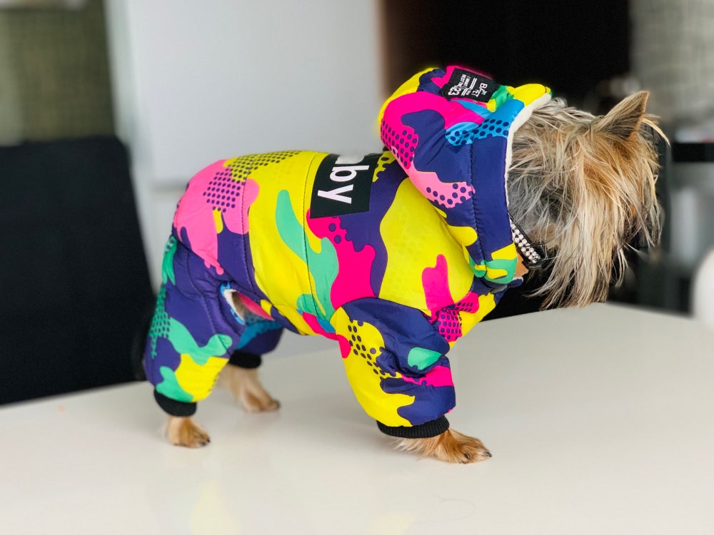 Ropa de invierno para perros, abrigo cálido a prueba de viento, mono, sudaderas con capucha, chaqueta. - Mascotalux