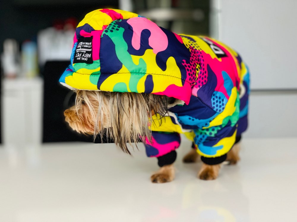 Ropa de invierno para perros, abrigo cálido a prueba de viento, mono, sudaderas con capucha, chaqueta. - Mascotalux