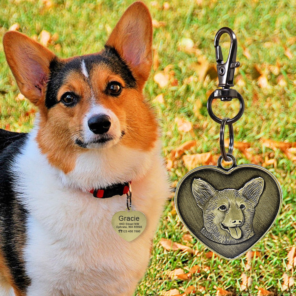 Placa de identificación para perros y gatos con grabado personalizado. Antipérdida, grabado gratis, colgante con forma de corazón. - Mascotalux