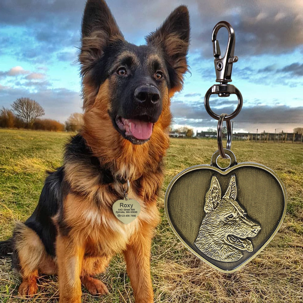 Placa de identificación para perros y gatos con grabado personalizado. Antipérdida, grabado gratis, colgante con forma de corazón. - Mascotalux