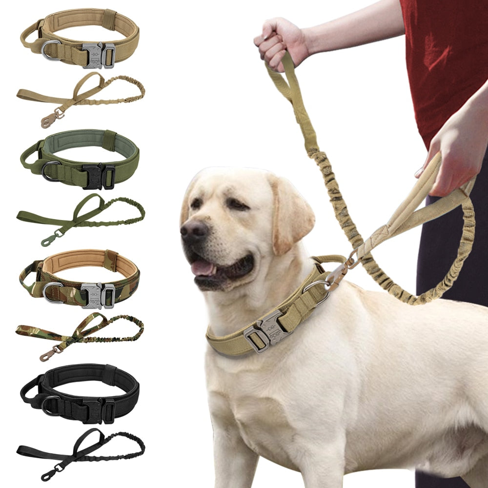 Perro fuerte táctico militar de la mascota. Entrenamiento de mascotas collares de perros grandes Bulldog francés K9. - Mascotalux