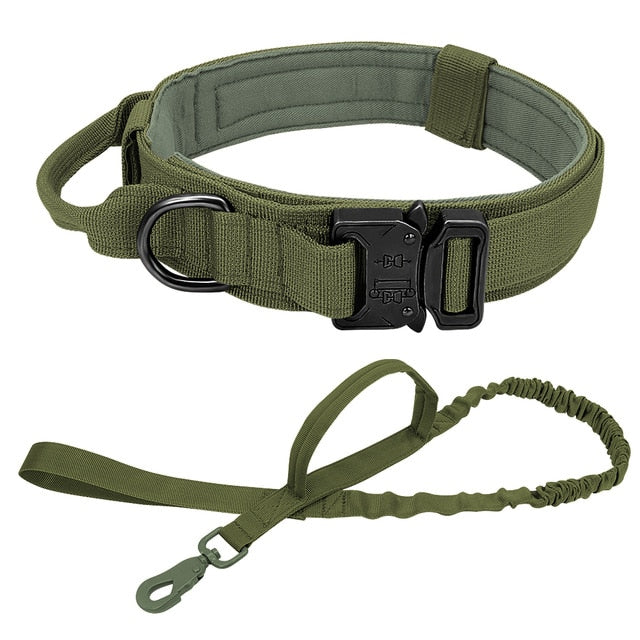 Perro fuerte táctico militar de la mascota. Entrenamiento de mascotas collares de perros grandes Bulldog francés K9. - Mascotalux