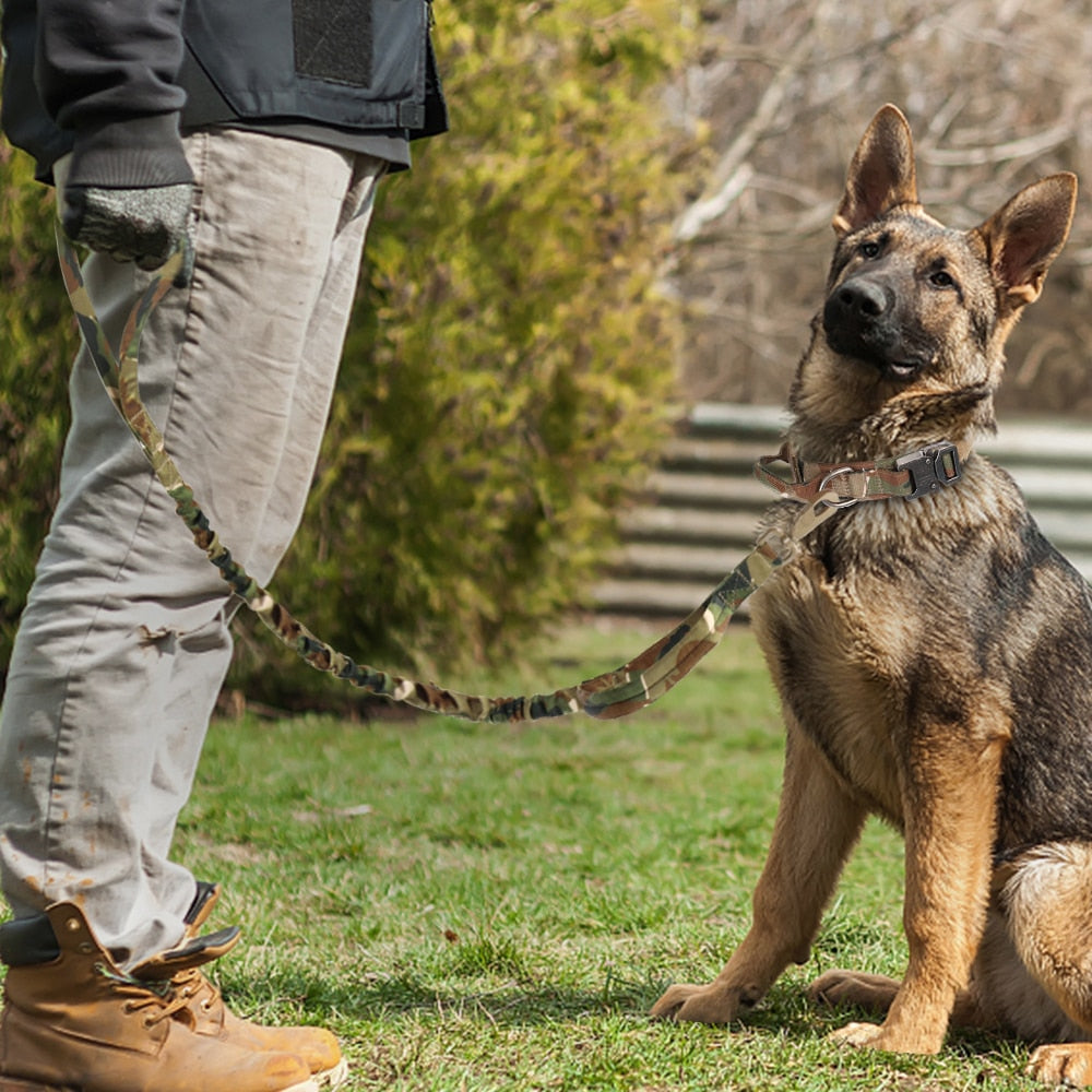 Perro fuerte táctico militar de la mascota. Entrenamiento de mascotas collares de perros grandes Bulldog francés K9. - Mascotalux