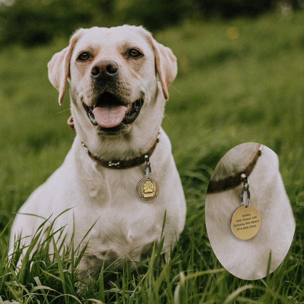 Etiqueta de perro de acero inoxidable personalizada. Colgante contra la perdida de mascotas, Grabado. - Mascotalux