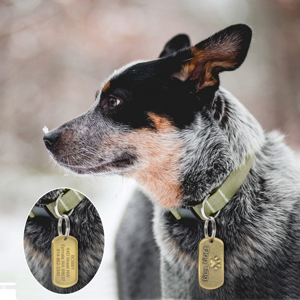 Etiqueta de perro de acero inoxidable personalizada. Colgante contra la perdida de mascotas, Grabado. - Mascotalux